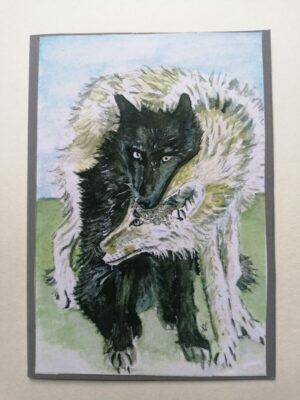 Wolven