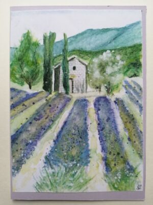Lavendel
