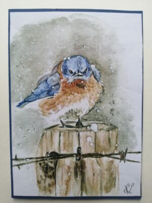 Norse vogel