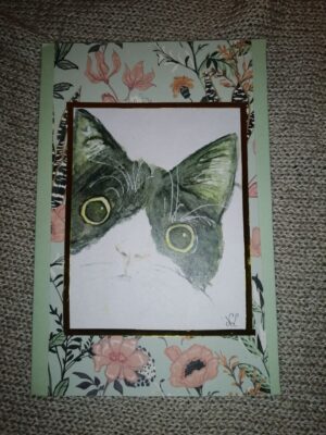 Kat kijkt